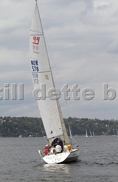 Bundefjorden2012 222.jpg
